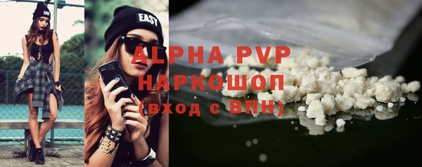 гидра Кодинск