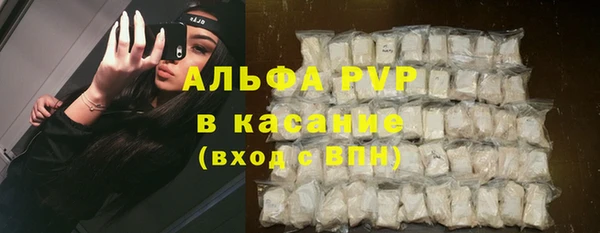 сатива Киреевск