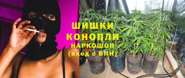 сатива Киреевск