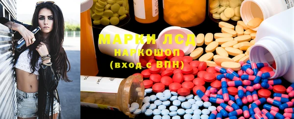 сатива Киреевск