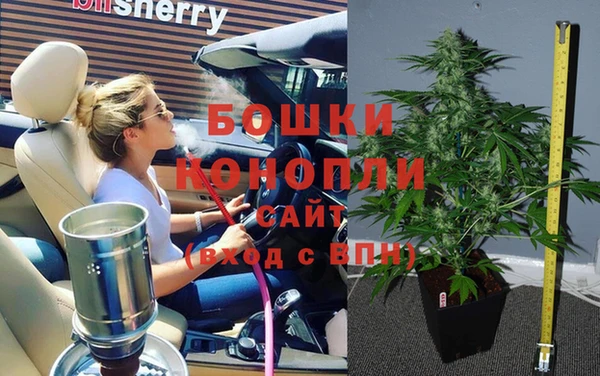 трава Кинешма