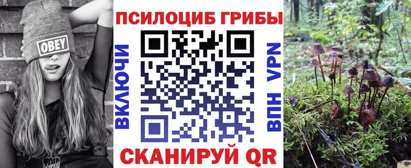 Псилоцибиновые грибы Cubensis  Артём 
